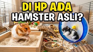 Di Handphone Ada Hamster Asli? Bisa Diajak Main Juga (Nama Game Di Deskripsi)