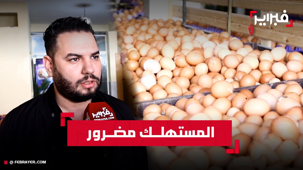 مهنيون: أصحاب ضيعات البيض يربحون الضعف.. والارتفاع الحالي ليس له مبرر قانوني