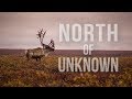 CARIBOU HUNTING IN ALASKA | NORTH OF UNKNOWN