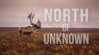 CARIBOU HUNTING IN ALASKA | NORTH OF UNKNOWN