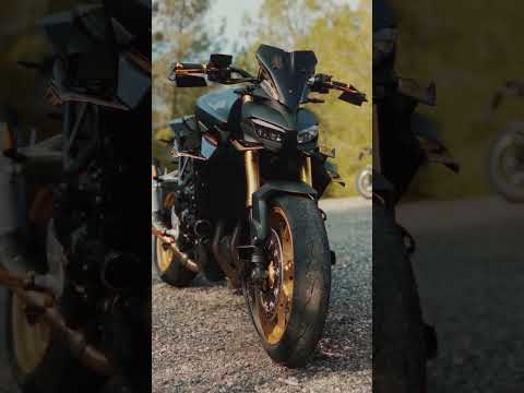 Die schärfste 1000er Hornet 🐝 von PUIG #puig #hondahornet