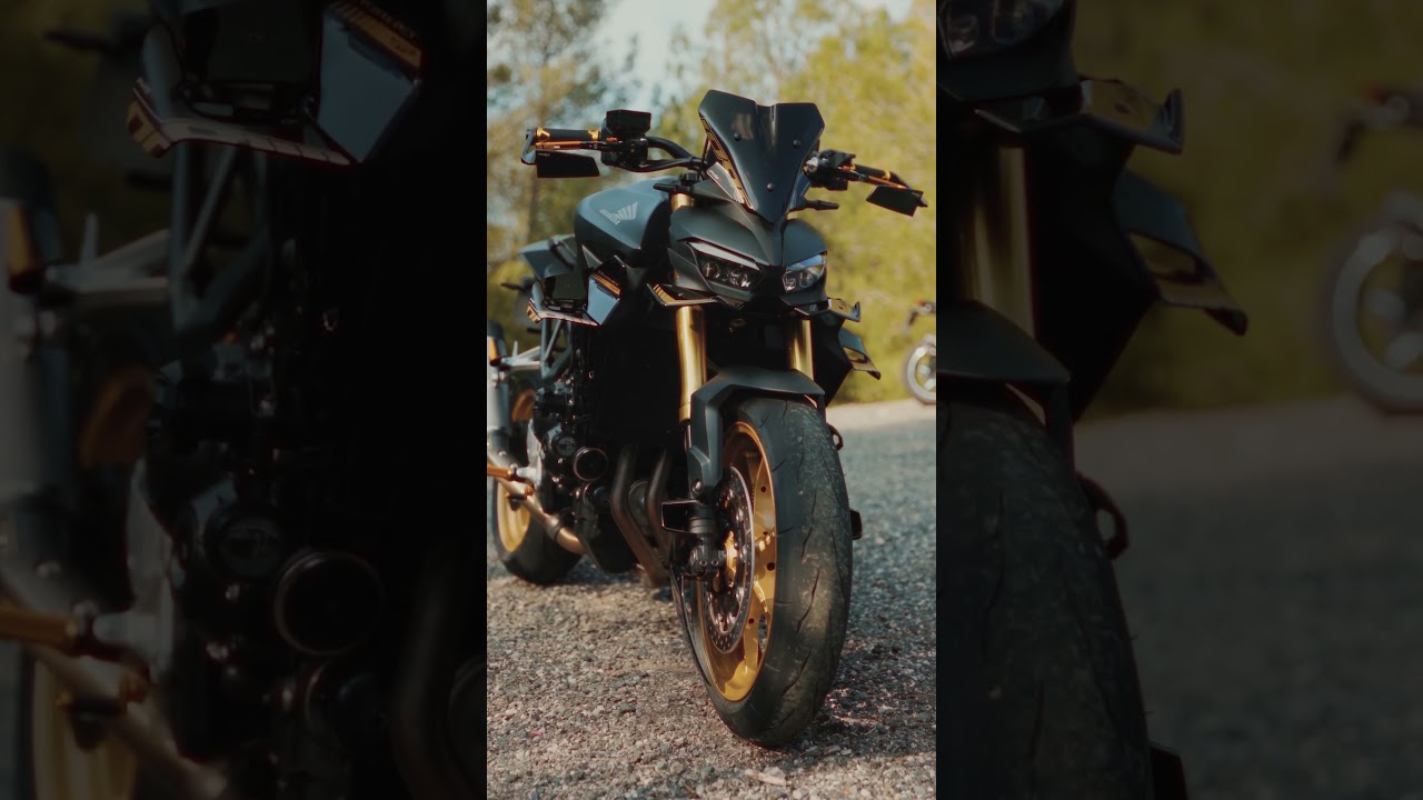 Die schärfste 1000er Hornet 🐝 von PUIG #puig #hondahornet