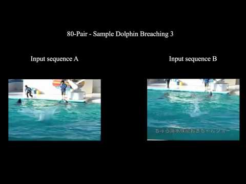 Temporal Action Co-Segmentation in 3D Motion Capture Data & Videos (CVPR 2017)