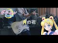 Daoko - 月の花 / 「美少女戦士セーラームーンCosmos」主題歌 Guitar cover