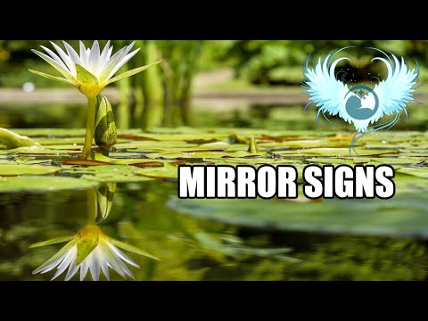 MirrorSigns