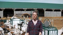 Lakeland Farm And Ranch Direct Youtube