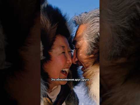 Video: Eskimo-suudelma: suorituskykyominaisuudet. Perinteen olemus ja sen alkuperä