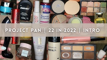 22 in 2022 Project Pan  | Intro