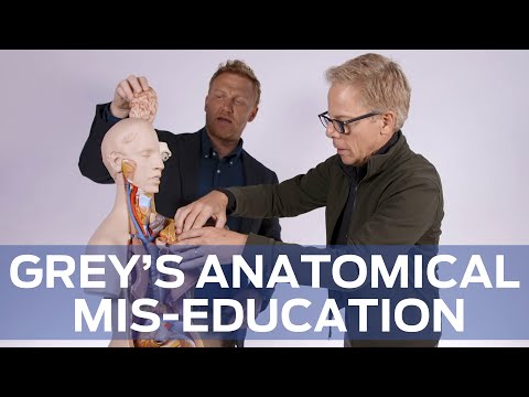 Anatomical Mis-Education with 'Grey's Anatomy''s 
