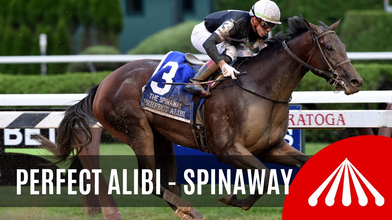 horseshoe bend Perfect Alibi - 2019 - The Spinaway Stakes