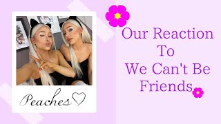 We Can't Be Friends Music Video Reaction (Ariana Grande) | Pink Sweetener