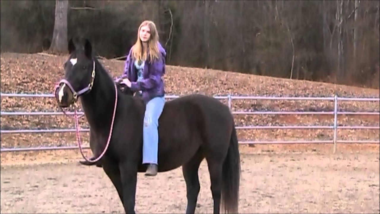Trick Riding Vaulting Onto a Horse YouTube