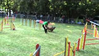 Asia (briard) jumping C Châtenoy 2010