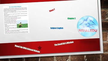 Class 7 English Chapter 2 Exercise | The Bird