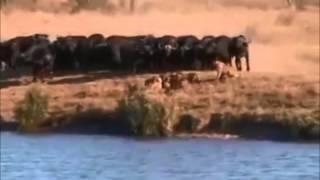 Battle at Kruger II