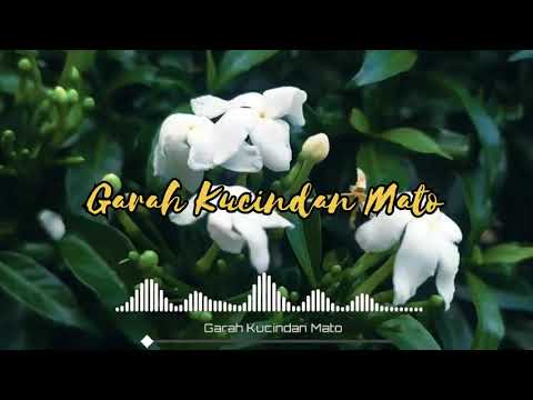 DJ MINANG TERBARU 2021 || GARAH KUCINDAN MATO || LAGU MINANG TERBARU 2021