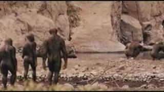 Primeval Pictures: Other Series 3 Creatures