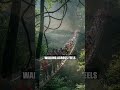 This 243m Bridge Floats Above Indonesia's Secret Jungle