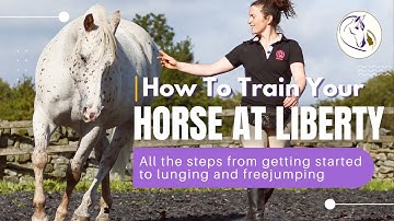 How to Train Your Horse at Liberty | All the steps from getting started to lunging and freejumping
