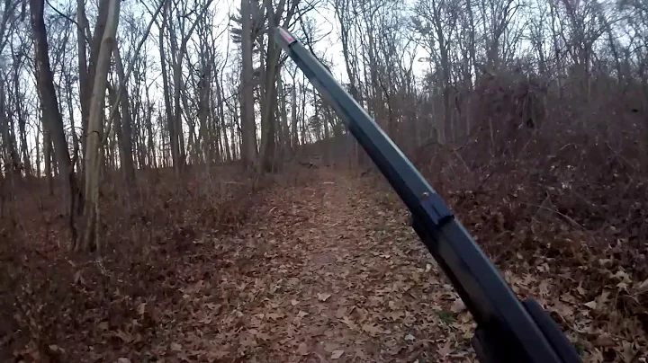 Pennsylvania squirrels hunting