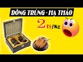 Sự thật về Đông Trùng Hạ Thảo có giá tới 2 tỷ 1 kg 😨