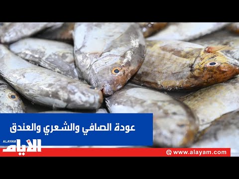 الصافي والشعري والعندق بعد رفع الحظر أسعاره نار