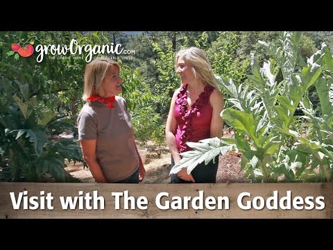 Peaceful Valley Visits The Garden Goddesses