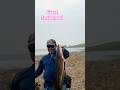 Giant snakehead Murrel #zakkfishing #murrel #snakeheadfishing #shorts