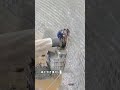 ダム作業員による危険を伴う手動ゲート開放操作。一見危険に見えるが、実はダムの堆砂除去と危険排除を行っている。