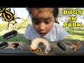 VACUUM BUG HUNT In The Park With Zoe Daddy and Mummy Spiders, Roly Polys, Worms, Snails