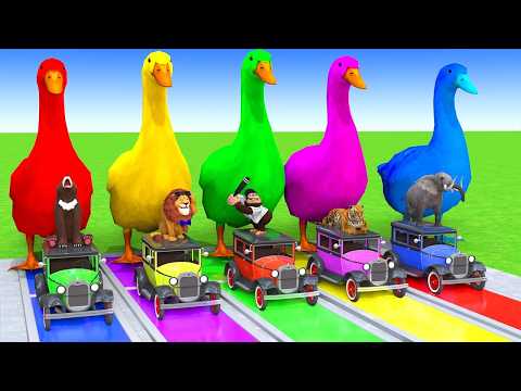 5 Giant Duck Cartoon,Cow,Elephant,Tiger,Dinosaur,Paint Wild Animals Crossing Fountain Animation #523