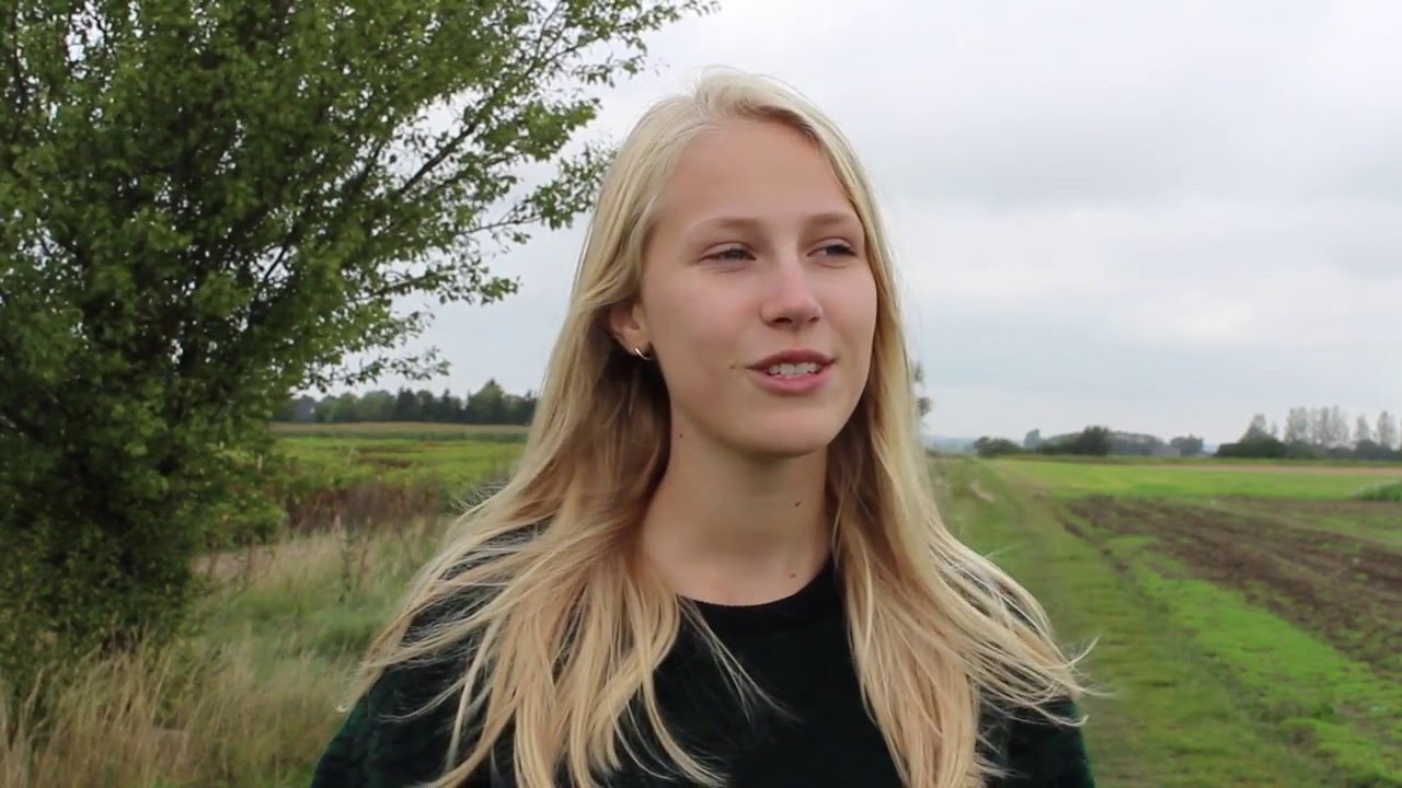 Dokumentar HUNDESTED HD