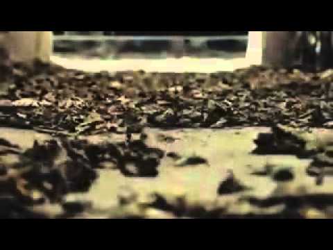 الى متى الغفله الشيخ خالد الراشد