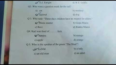 Class 7th English Model paper  MCQ