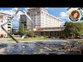 Juniper Hotel Cupertino A Curio Collection By Hilton | San Jose (CA), United States | Hotel Review 🌟