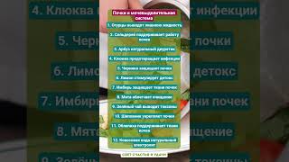 ЗАЩИТА ПОЧЕК!!! #здоровье #зож #витамины #почки #еда #рецепты #пп #факты #шортс