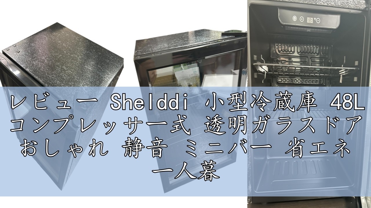 レビュー Shelddi 小型冷蔵庫 48L コンプレッサー式 透明ガラスドア