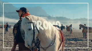 Bromo - The Sea of Sand | 4K Cinematic