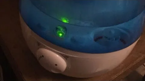 How To Clean A Cool Mist Humidifier