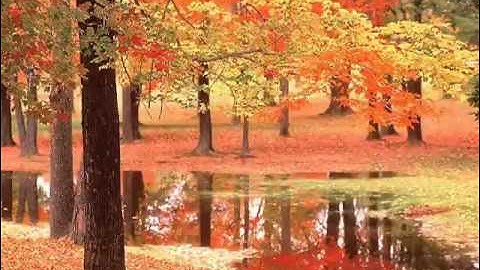 سورة يونس بصوت ماهر المعيقلي  3-3