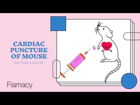 Cardiac puncture ~ step by step tutorial