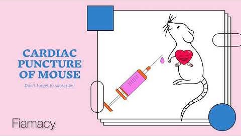 Cardiac puncture ~ step by step tutorial