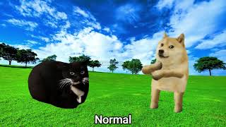 10 "Maxwell the Cat & Doge Dancing" Sound Variations in 36 Seconds