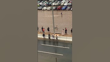 The problem is not the problem;the problem is your attitude about the problem 😂🍻