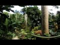 Barbados 360 - A VR Tour of Huntes Gardens