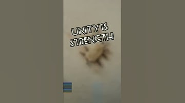 Unity is strength||Ant caring food...