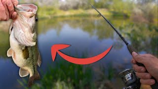 This Rare Lure Catches BIG BASS! by Corbin Outdoors 32 views 3 days ago 6 minutes, 53 seconds