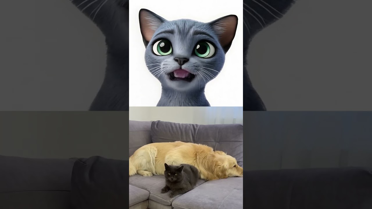 🐶📏 Quiet leadership display 