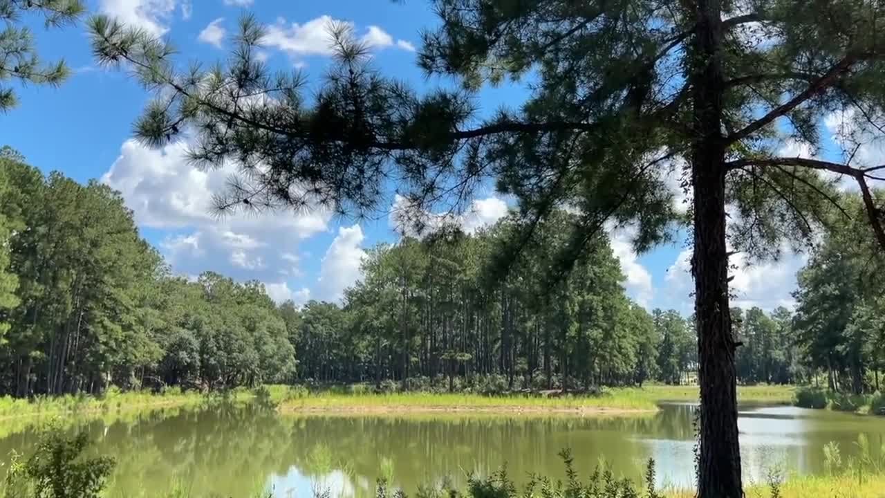 Prescribed burn leads to discovery of missing girl’s remains in Thomas County