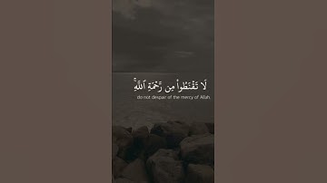 القارئ مشاري العفاسي ((سورة الزمر))